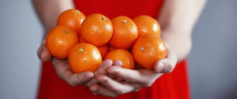 Chinese New Year oranges
