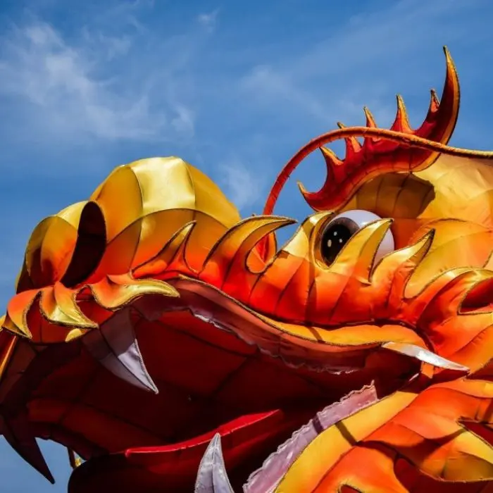 chinese new year dragon