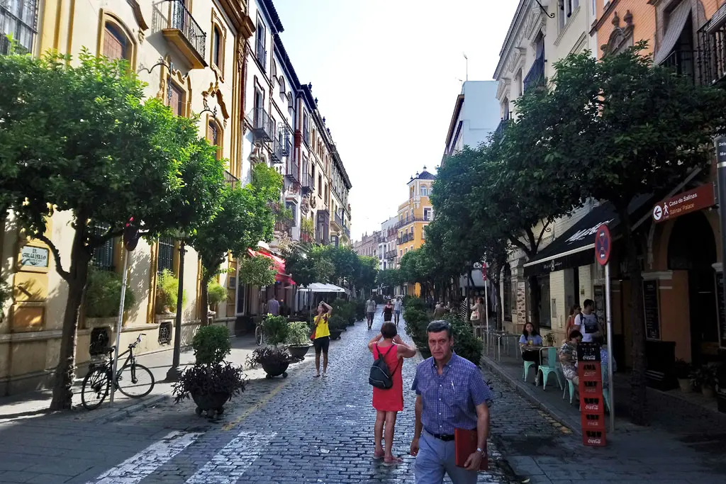 Aniversario 25 Slimstock