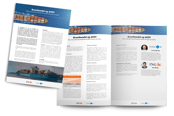 Whitepaper Bouwstenenmodel Groothandel