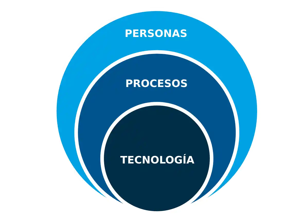 Proceso S&op