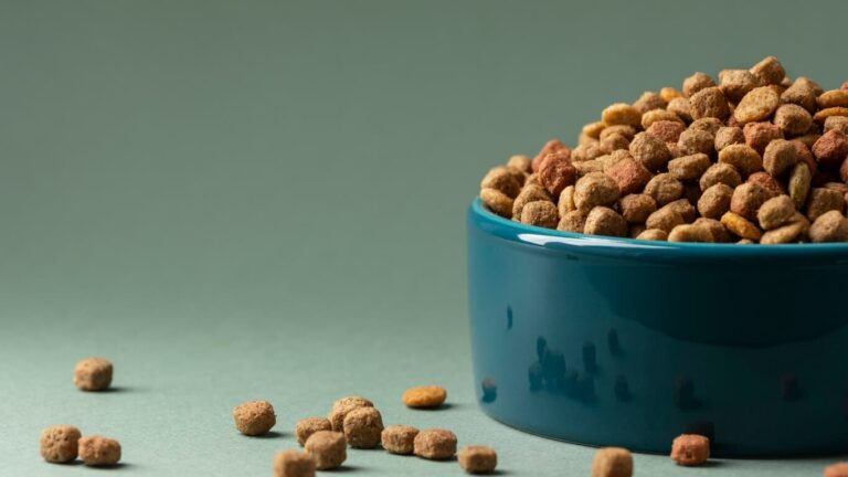 petfood