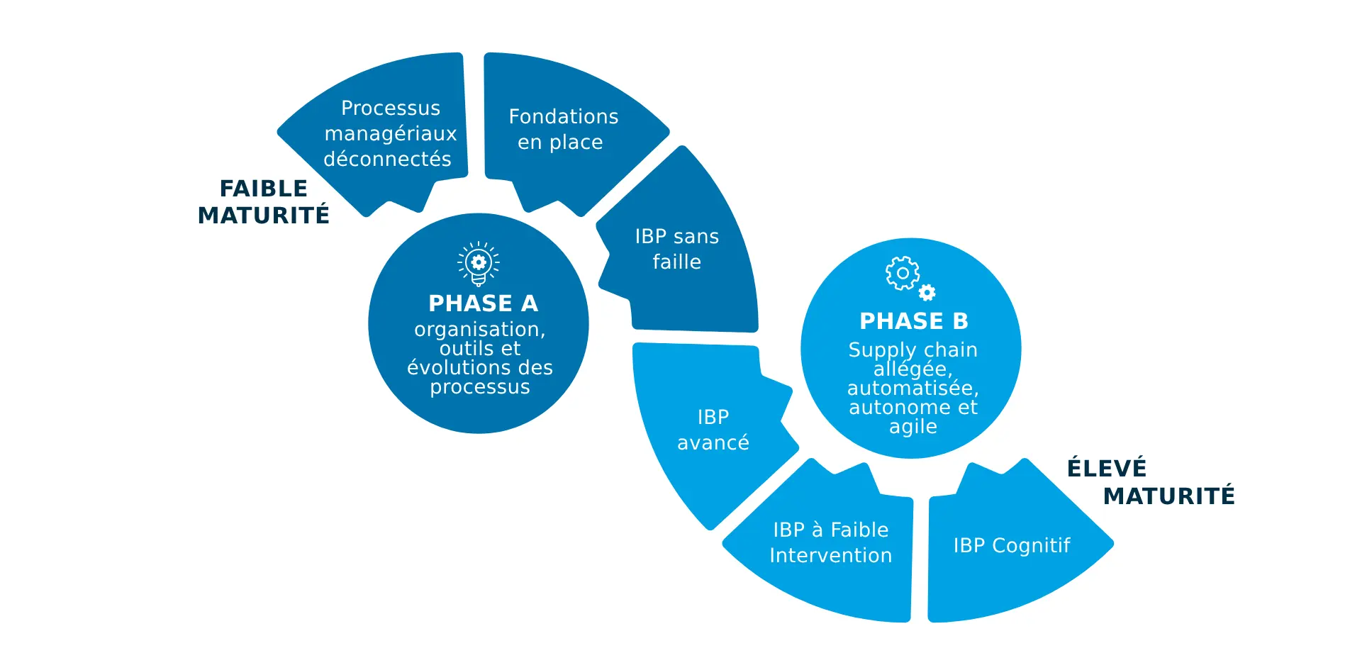 Transformation Grâce à L’ibp