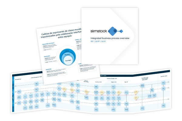https://www.slimstock.com/wp-content/uploads/2024/06/map-integrated-business-PT-mockup.webp