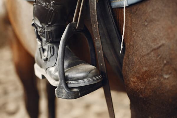 horse equipment