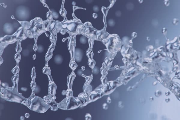 water drawing DNA