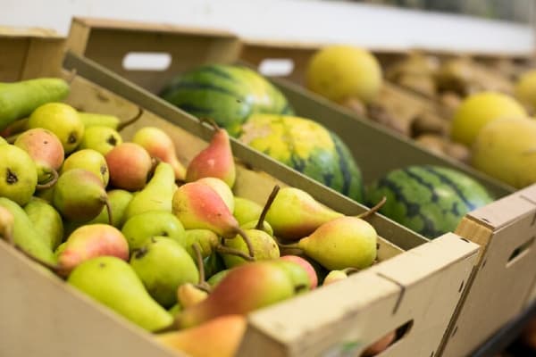 fresh food