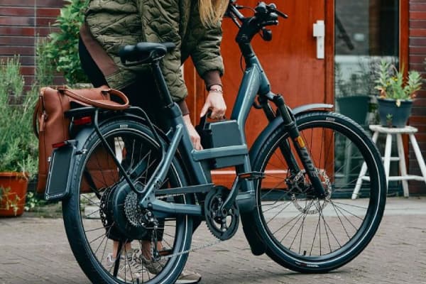electric bike