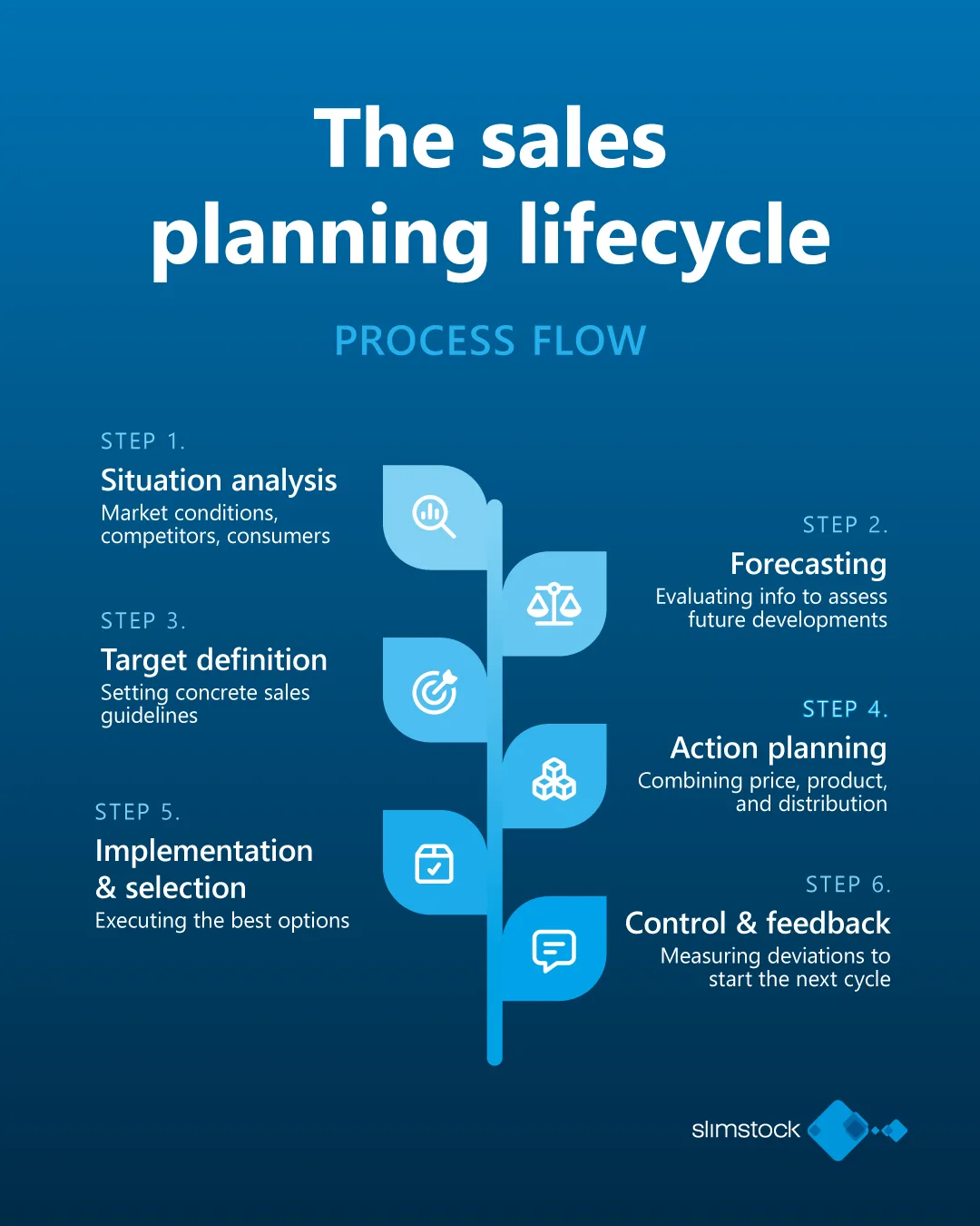 the sales planning lifecycle the sales planning lifecycle