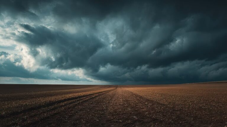 el niño storm agricultural effects